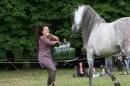 CAvAlle 8 * 3504 x 2336 * (3.52MB)